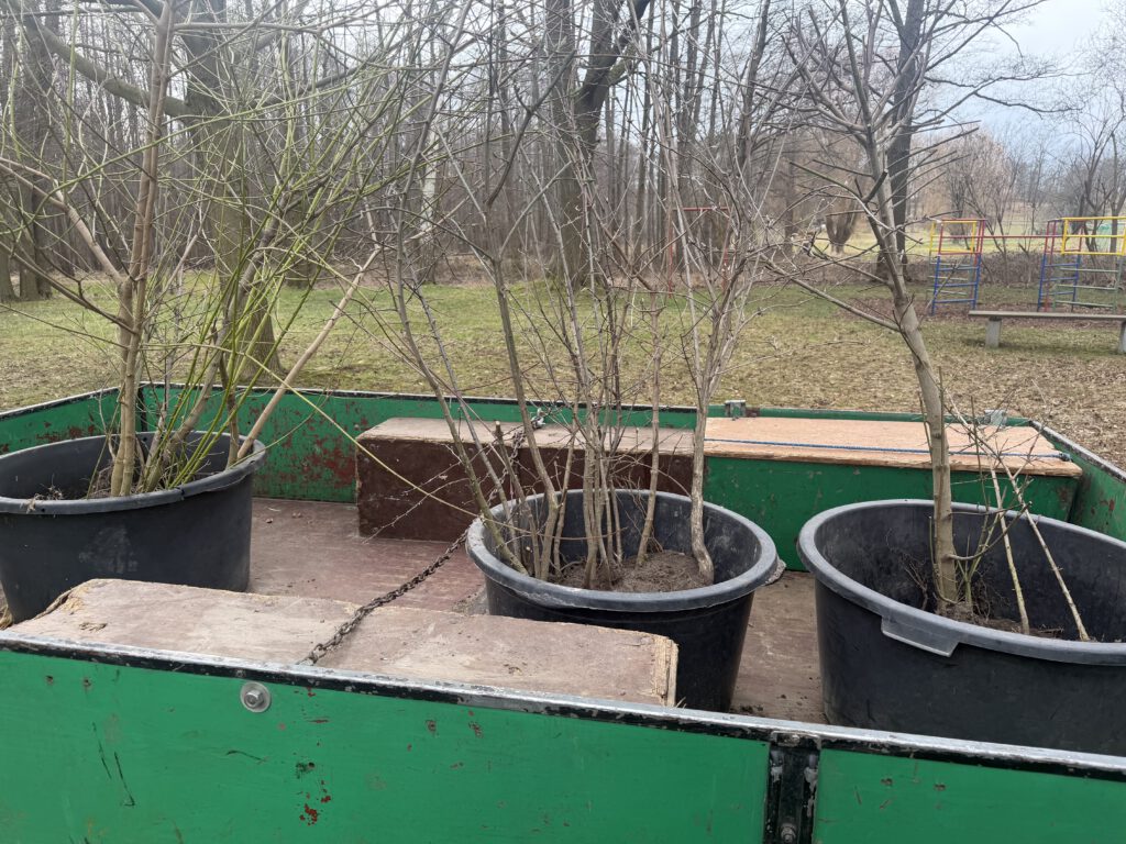 Dieses Bild hat ein leeres Alt-Attribut. Der Dateiname ist IMG_0072-1024x768.jpeg